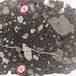 Porphyritic olivine basalt - Mauritius 0.jpg