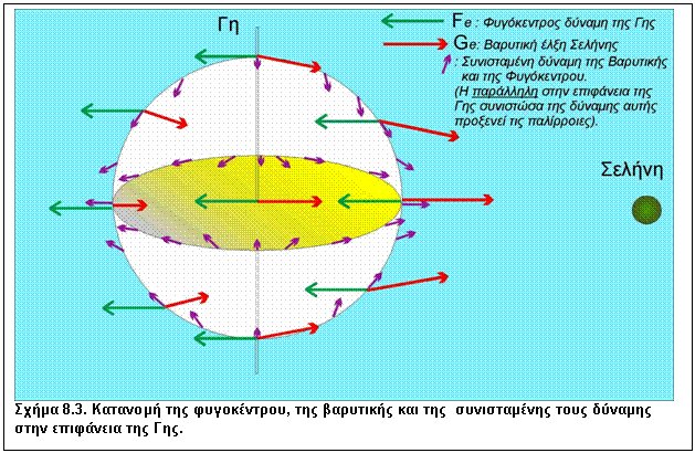 Πλαίσιο κειμένου:  
Σχήμα 8.3. Κατανομή της φυγοκέντρου, της βαρυτικής και της  συνισταμένης τους δύναμης στην επιφάνεια της Γης.
